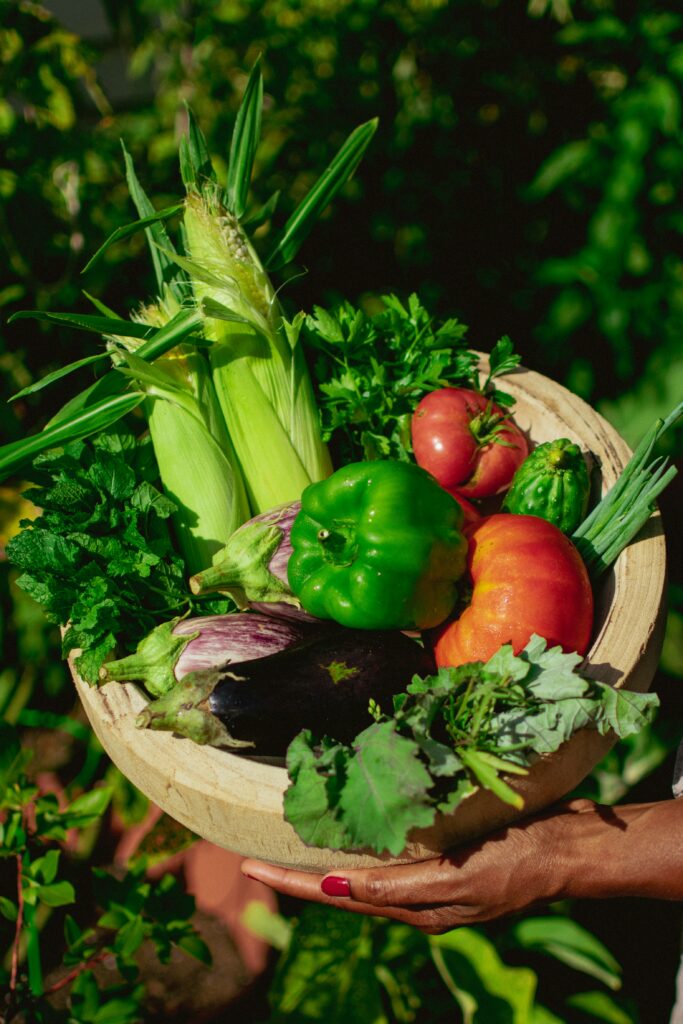 Légumes frais pour professionnels