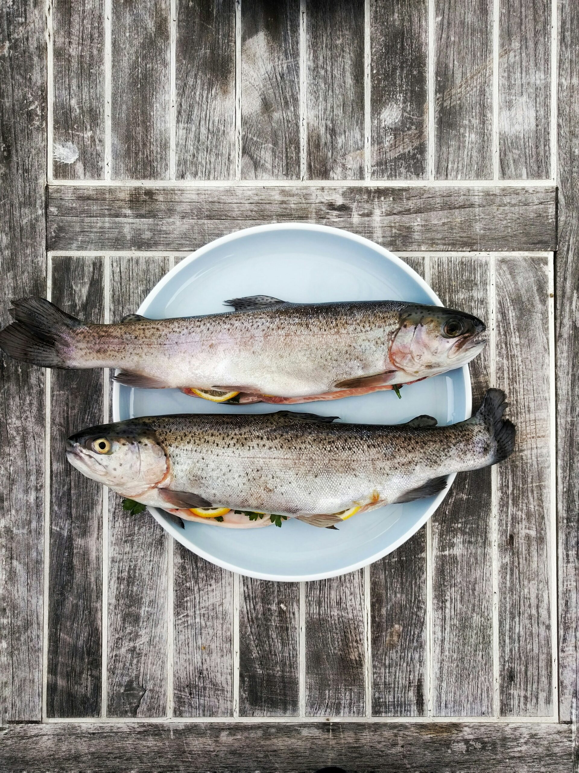 poissons frais sur belle assiette