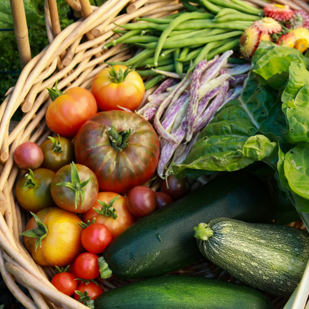 panier de légumes frais et de saison